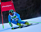 1 золотую, 4 серебряные и 1 бронзовую медали завоевала сборная России по горнолыжному спорту лиц с ПОДА на 3-м этапе Кубка мира МПК в Словении