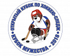 Впервые в г. Москве пройдет Открытый Кубок по хоккею-следж «Кубок Мужества»