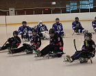 Детская следж-хоккейная команда «Ладога» (г. Алексин, Тульская область) принимает участие в Североамериканском турнире