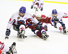 Второй круг чемпионата России по следж-хоккею стартовал 17 марта на РУТБ «Ока» в г. Алексине