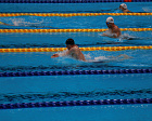 В.В. Путин поздравил победителя XVI Паралимпийских летних игр в Токио в соревнованиях по комплексному плаванию на дистанции 200 метров А. Калину